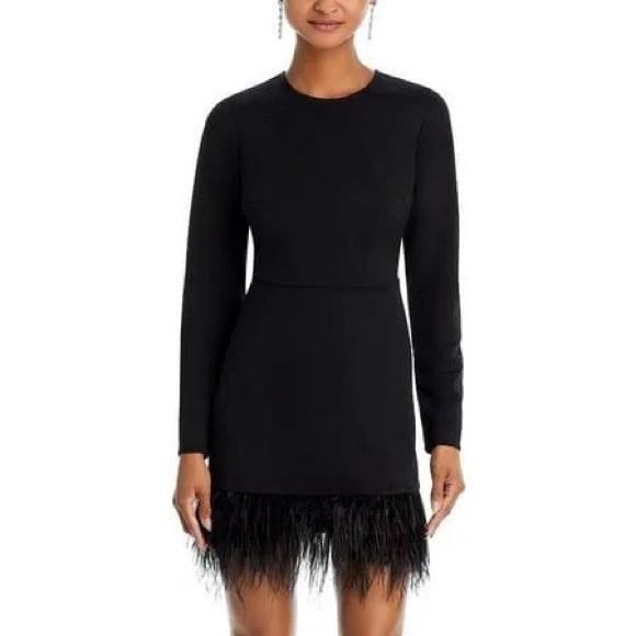 Aqua Women’s Bustier Feather Trim Mini Dress - Picture 1 of 4